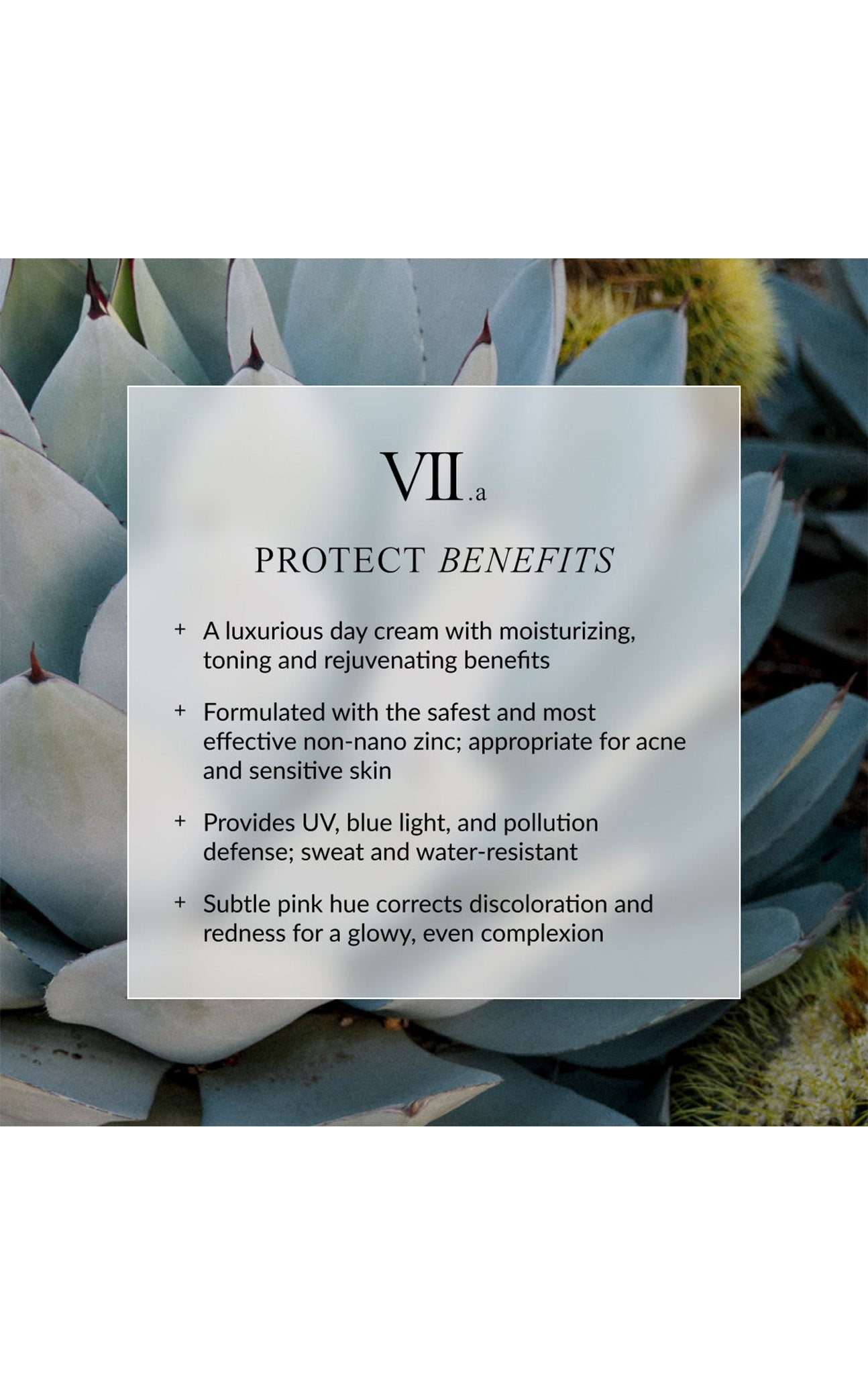 LINNE Protect Sunscreen