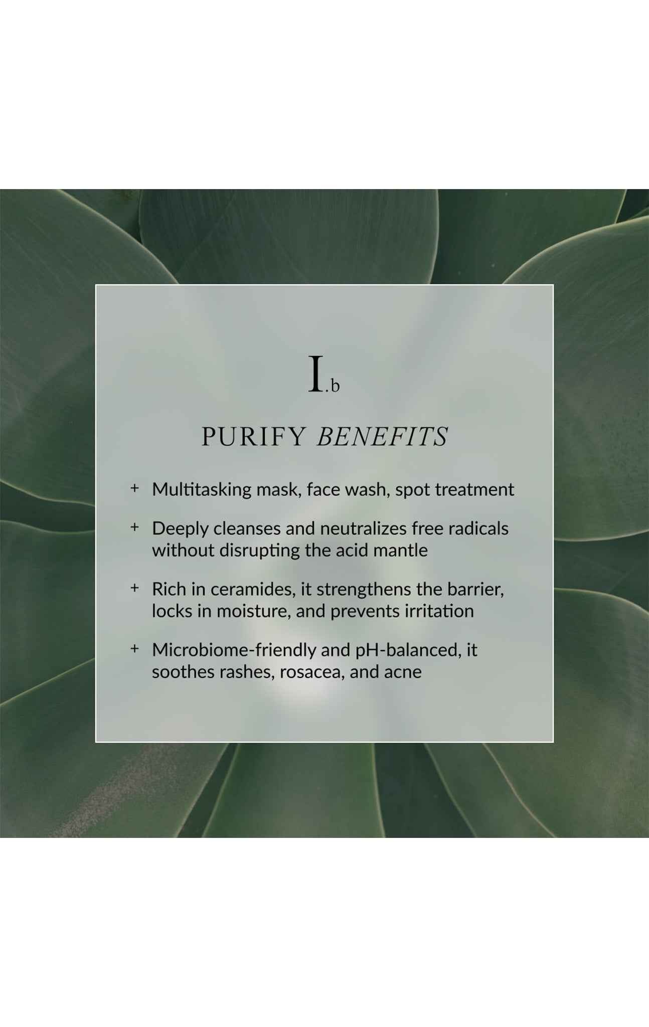 LINNE Purify face wash