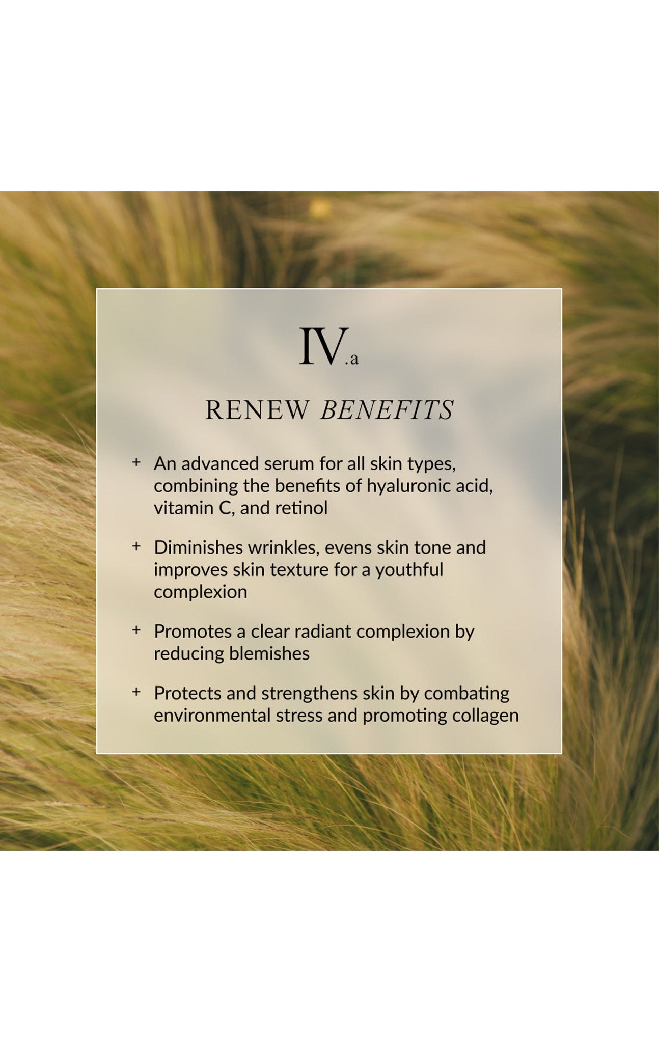 LINNE Renew Face Oil